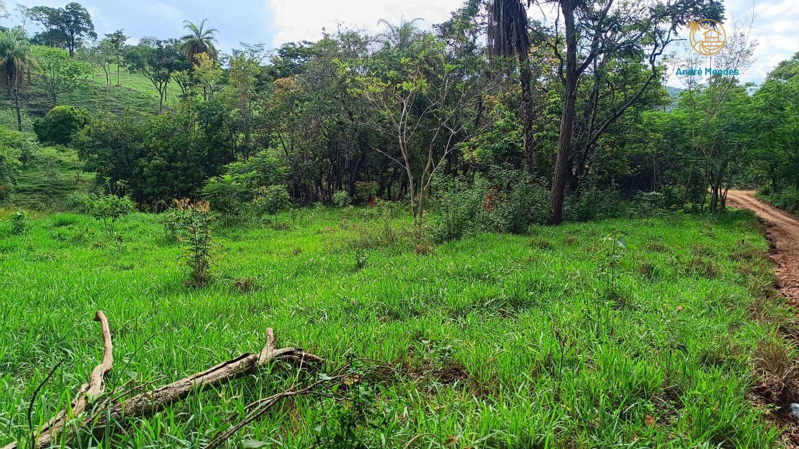 Terreno, 1000 m² - Foto 3