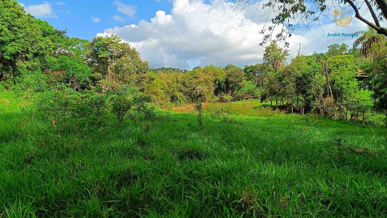 Terreno, 1000 m² - Foto 6