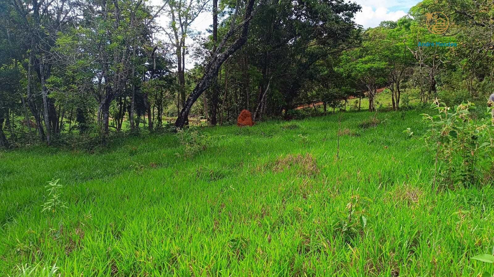 Terreno, 1000 m² - Foto 10