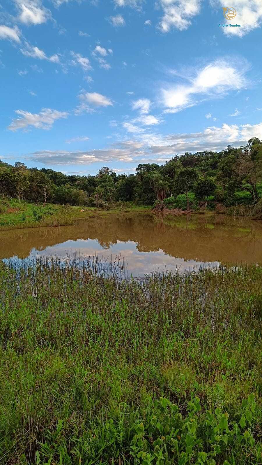 Terreno, 1000 m² - Foto 7