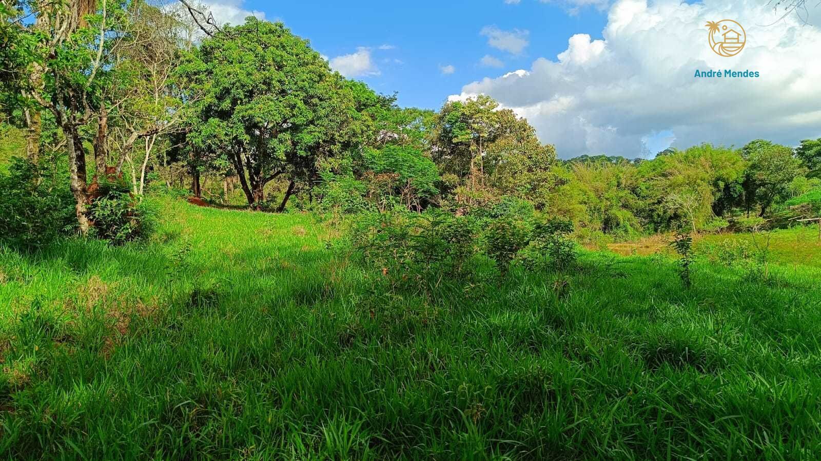 Terreno, 1000 m² - Foto 2