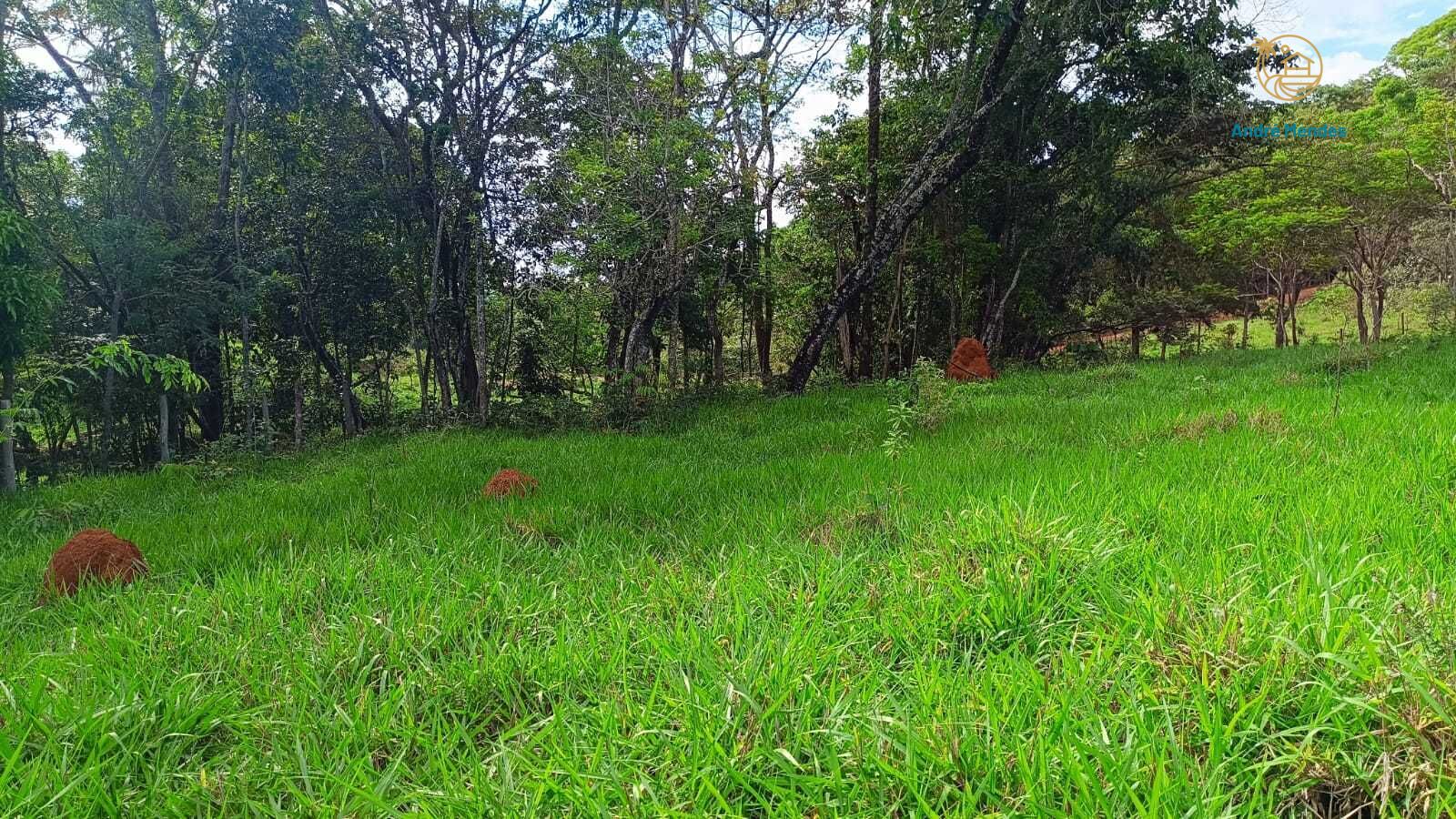 Terreno, 1000 m² - Foto 5