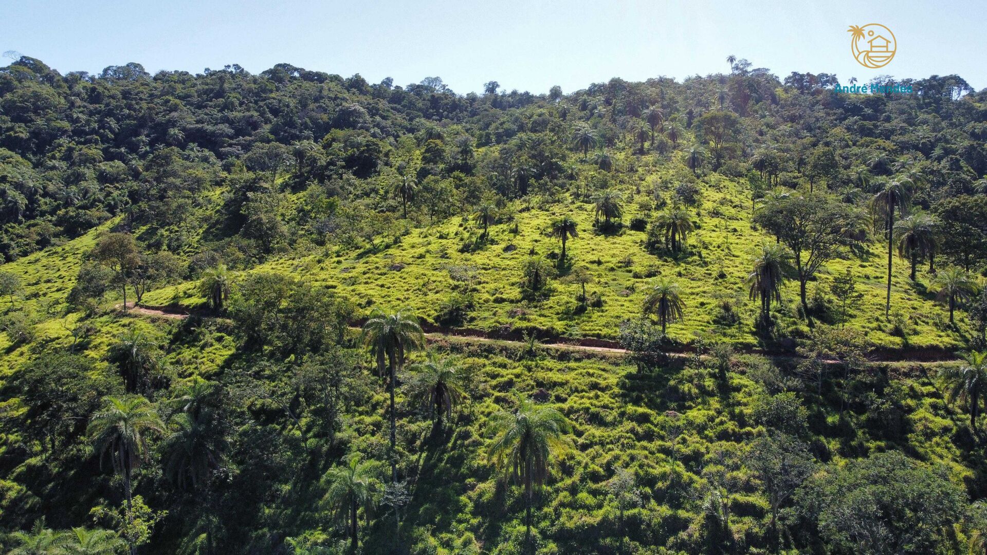 Terreno, 5 hectares - Foto 14