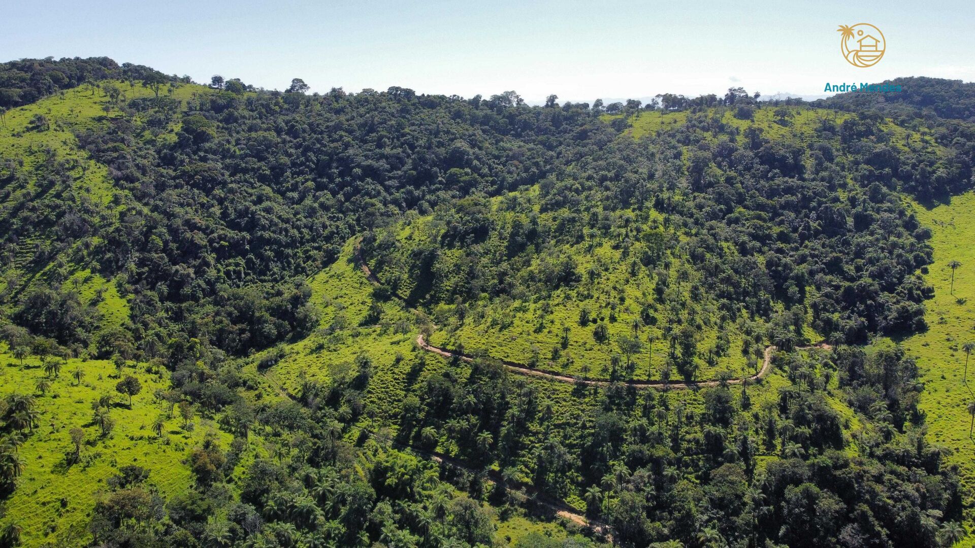 Terreno, 5 hectares - Foto 16