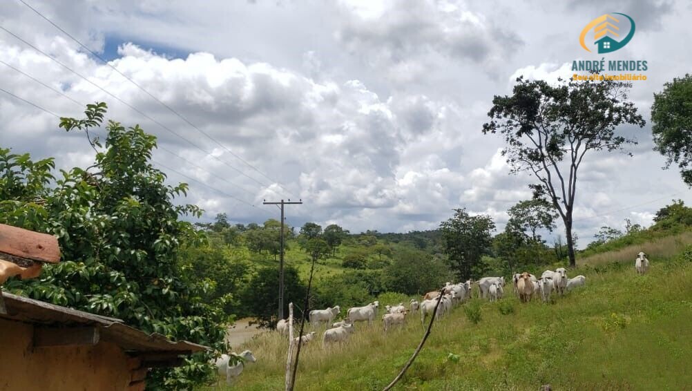 Fazenda à venda, 5350000m² - Foto 3