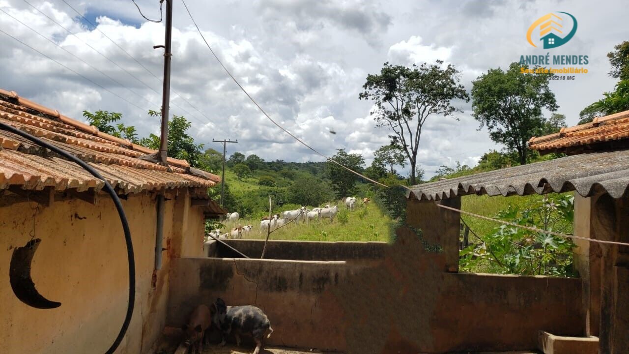 Fazenda à venda, 5350000m² - Foto 4