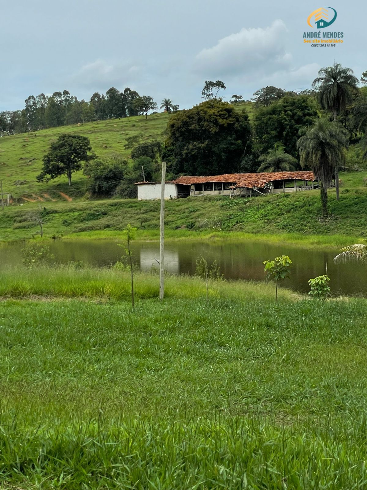 Fazenda à venda com 3 quartos, 3500m² - Foto 5