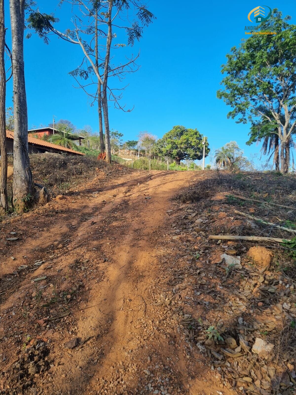 Fazenda à venda com 2 quartos, 20000m² - Foto 12