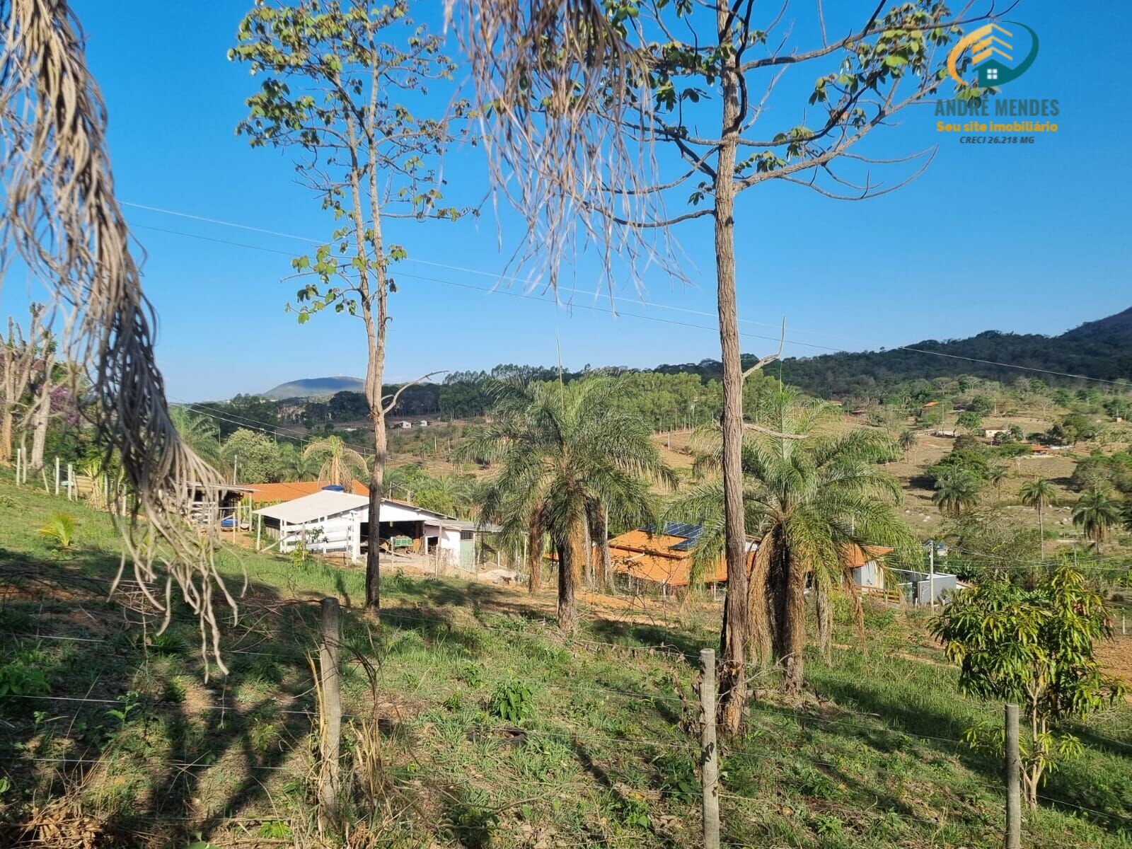 Fazenda à venda com 2 quartos, 20000m² - Foto 9