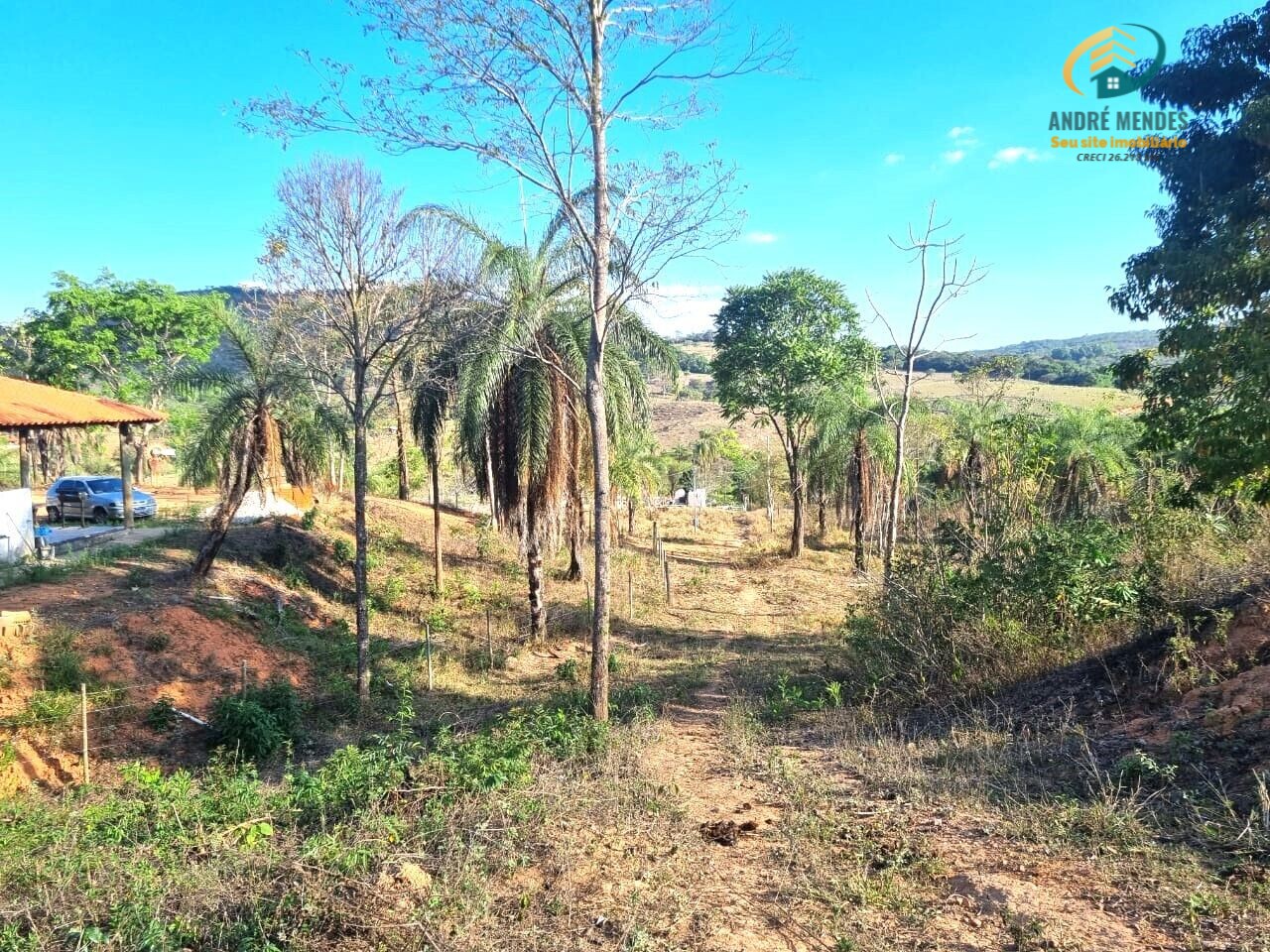 Fazenda à venda com 2 quartos, 20000m² - Foto 7