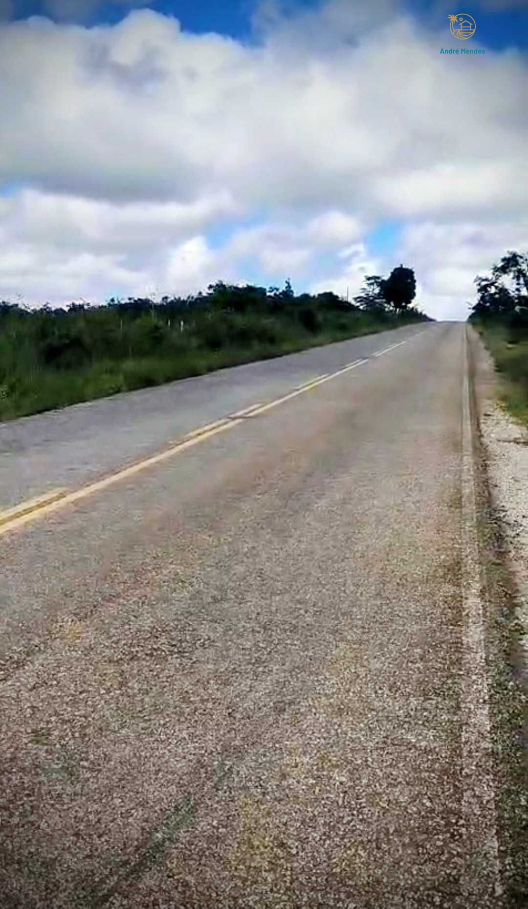 Fazenda, 2200 hectares - Foto 10