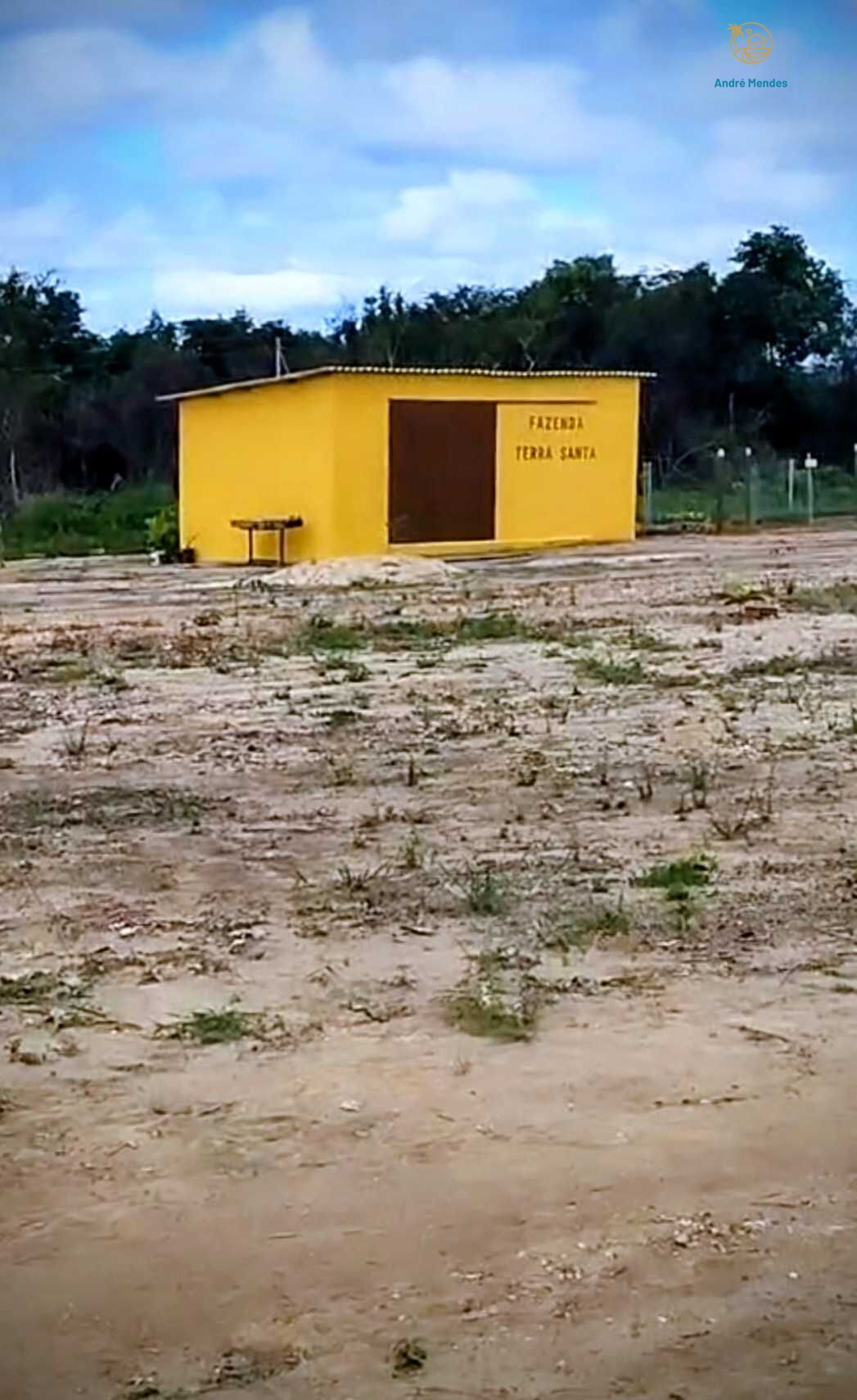 Fazenda, 2200 hectares - Foto 17