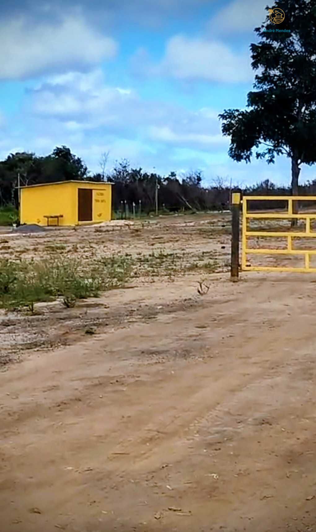 Fazenda, 2200 hectares - Foto 19