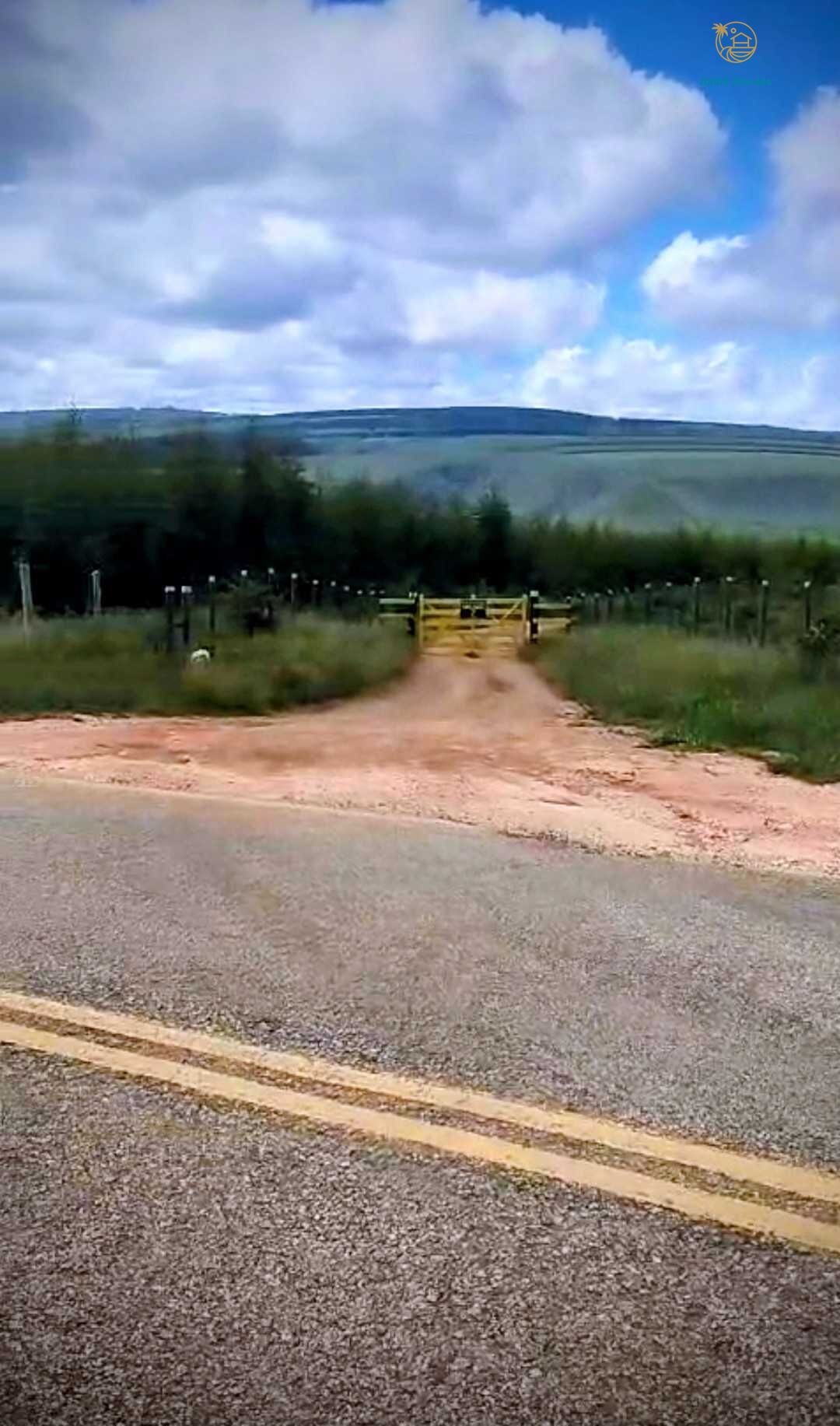 Fazenda, 2200 hectares - Foto 9