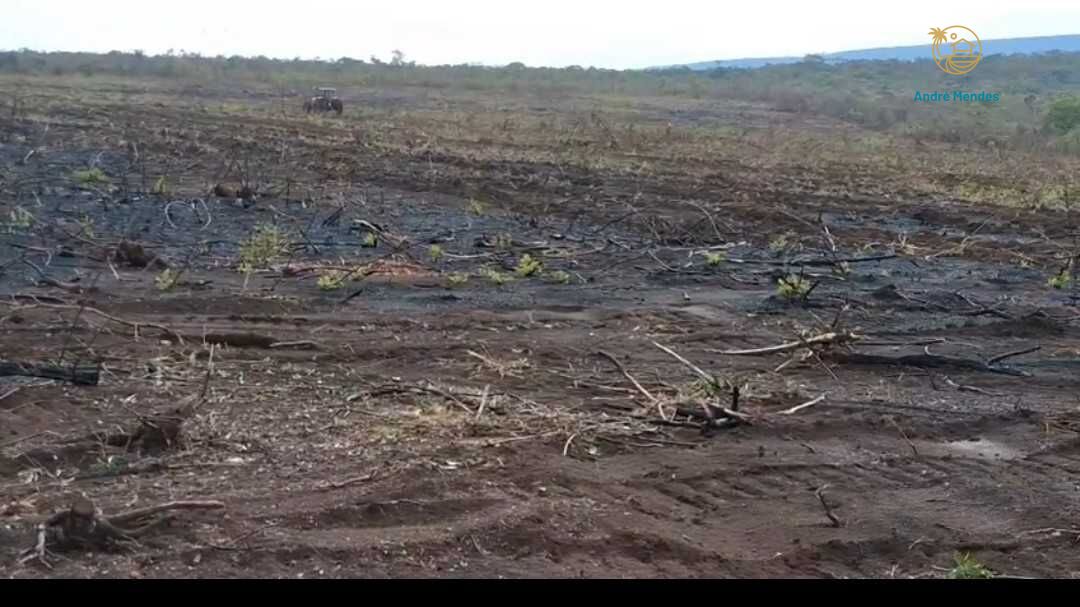 Fazenda, 2200 hectares - Foto 25