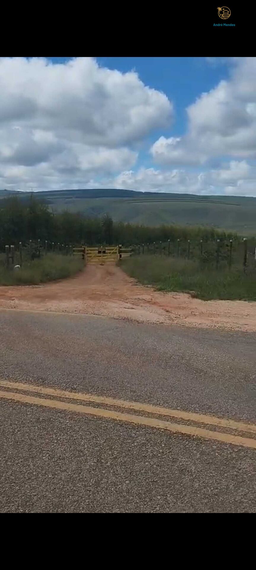 Fazenda, 2200 hectares - Foto 12
