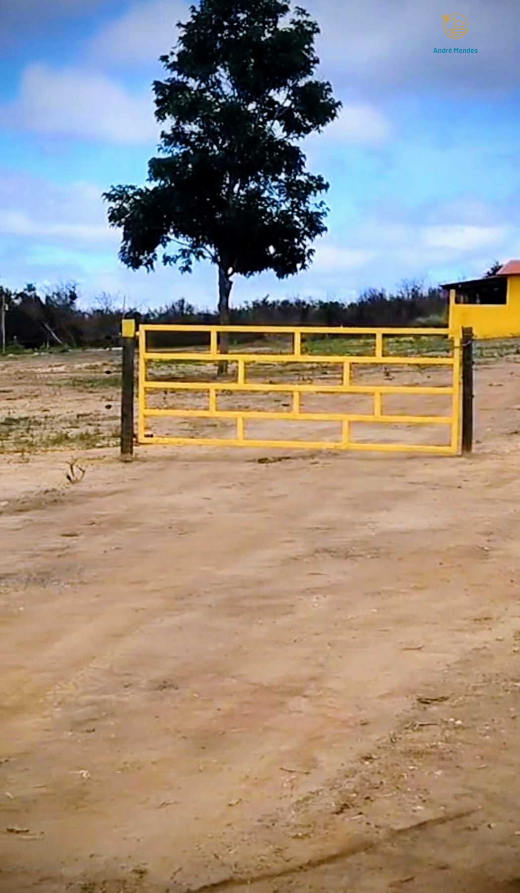 Fazenda, 2200 hectares - Foto 20