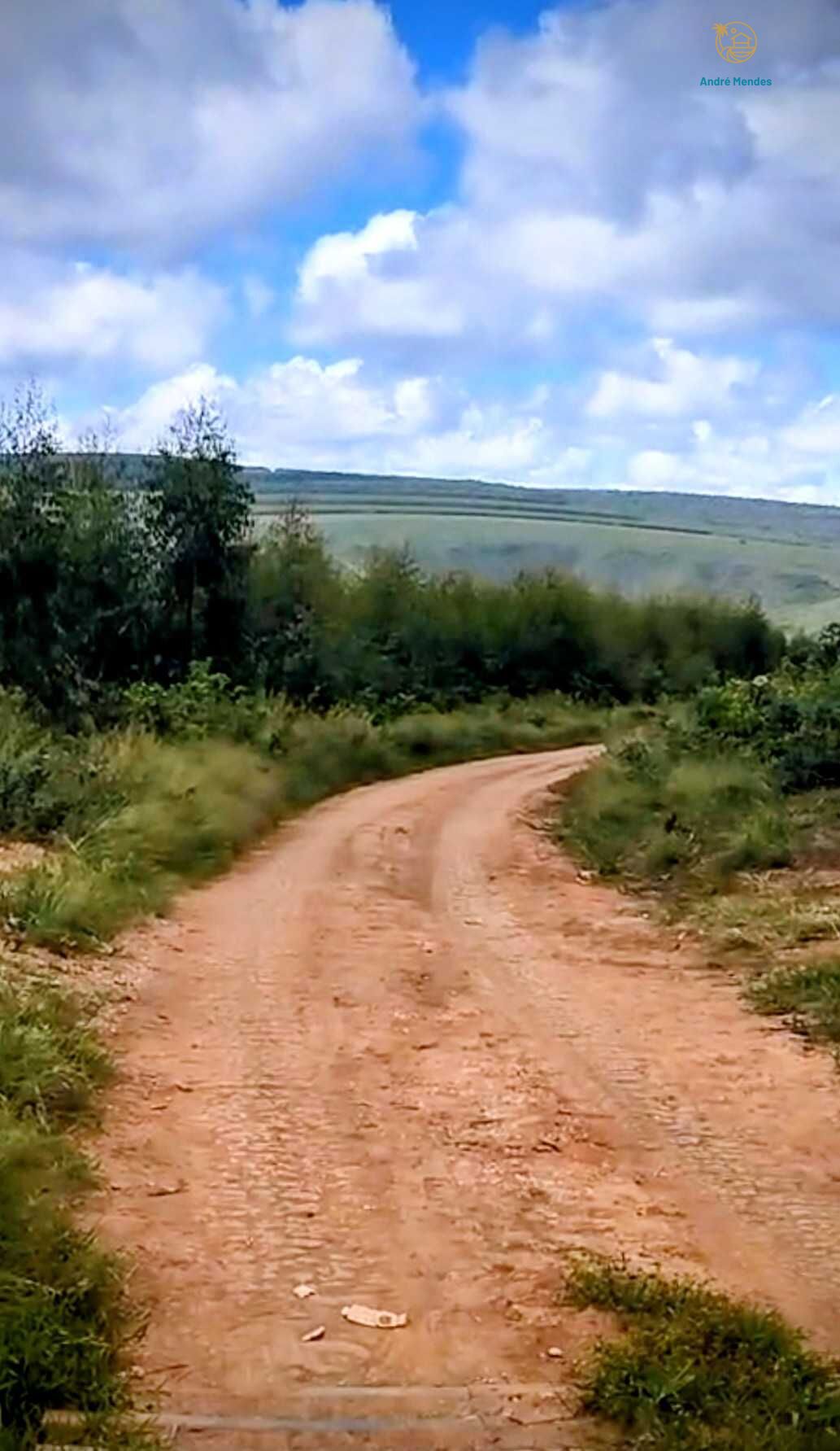 Fazenda, 2200 hectares - Foto 3