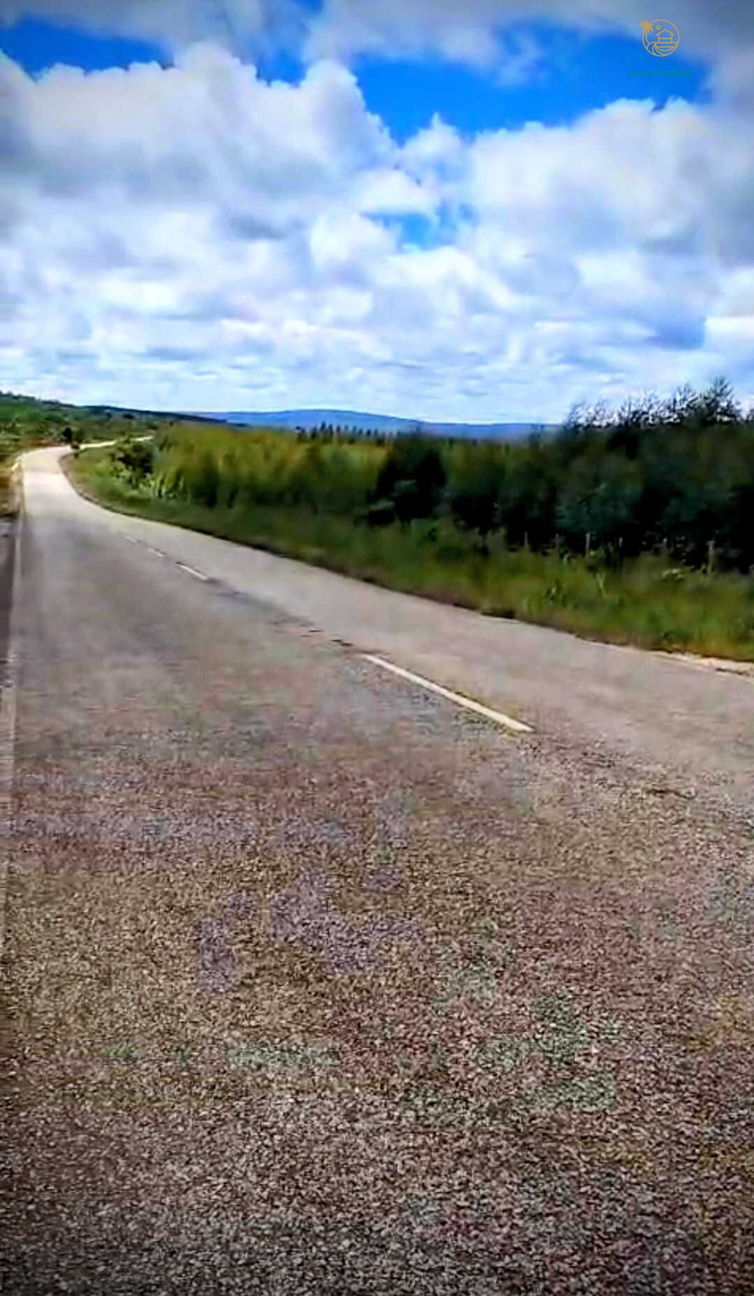 Fazenda, 2200 hectares - Foto 11