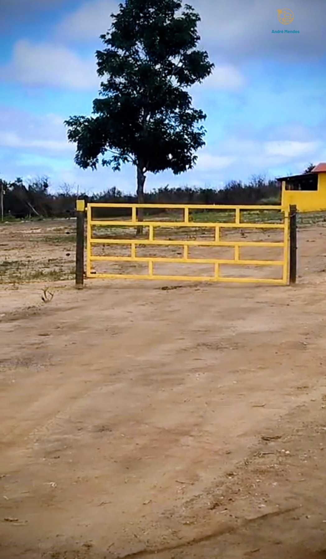 Fazenda, 2200 hectares - Foto 22