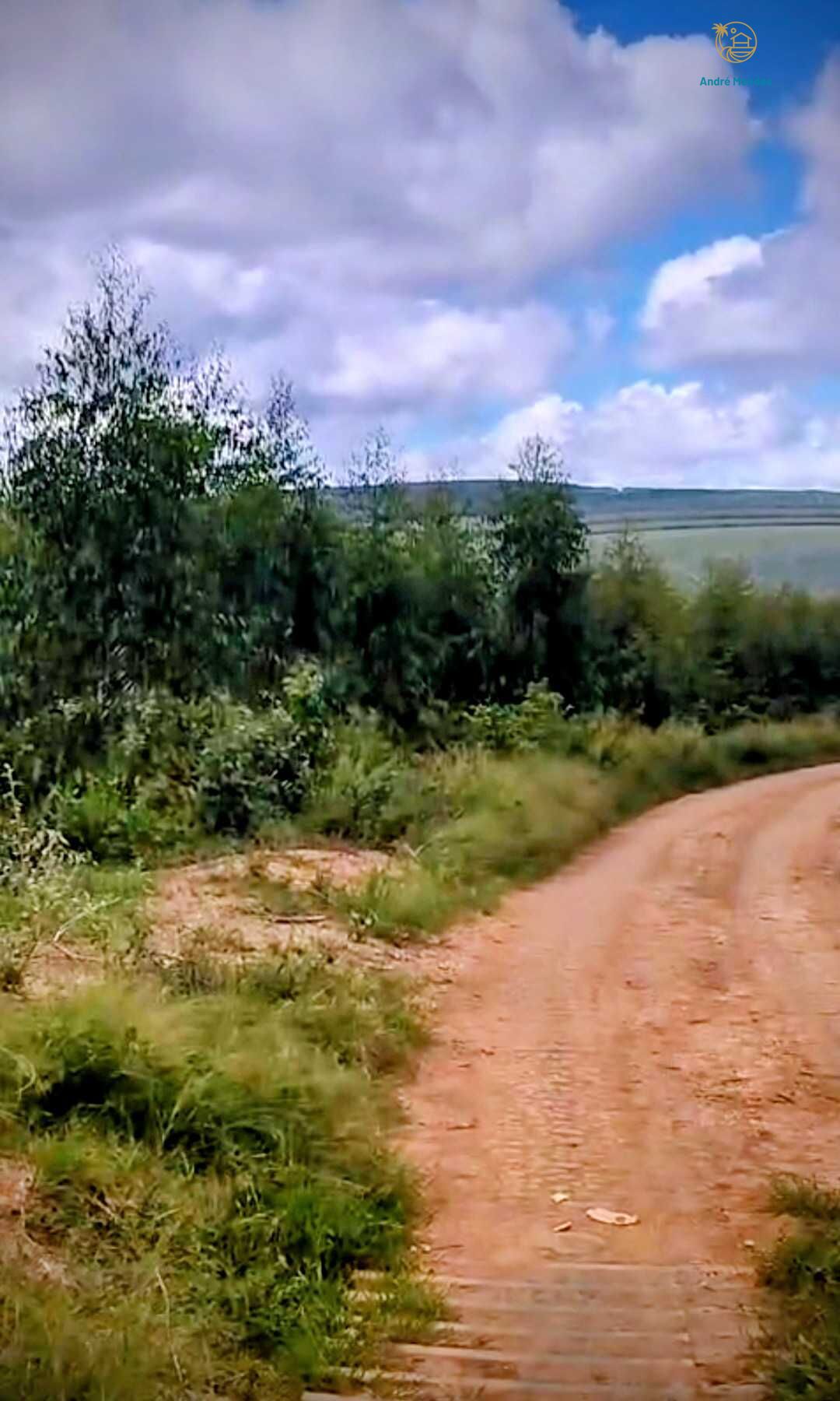 Fazenda, 2200 hectares - Foto 7