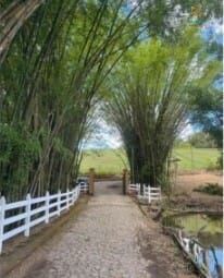 Sítio, 1 quarto - Foto 33