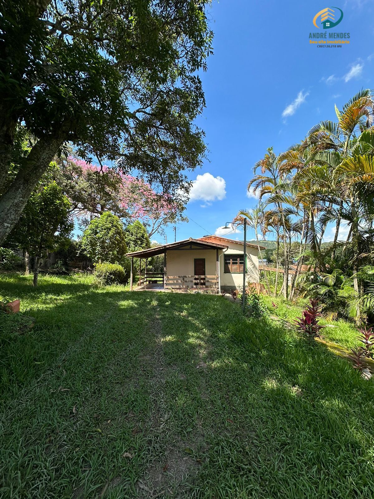 Fazenda à venda com 3 quartos, 1300m² - Foto 14