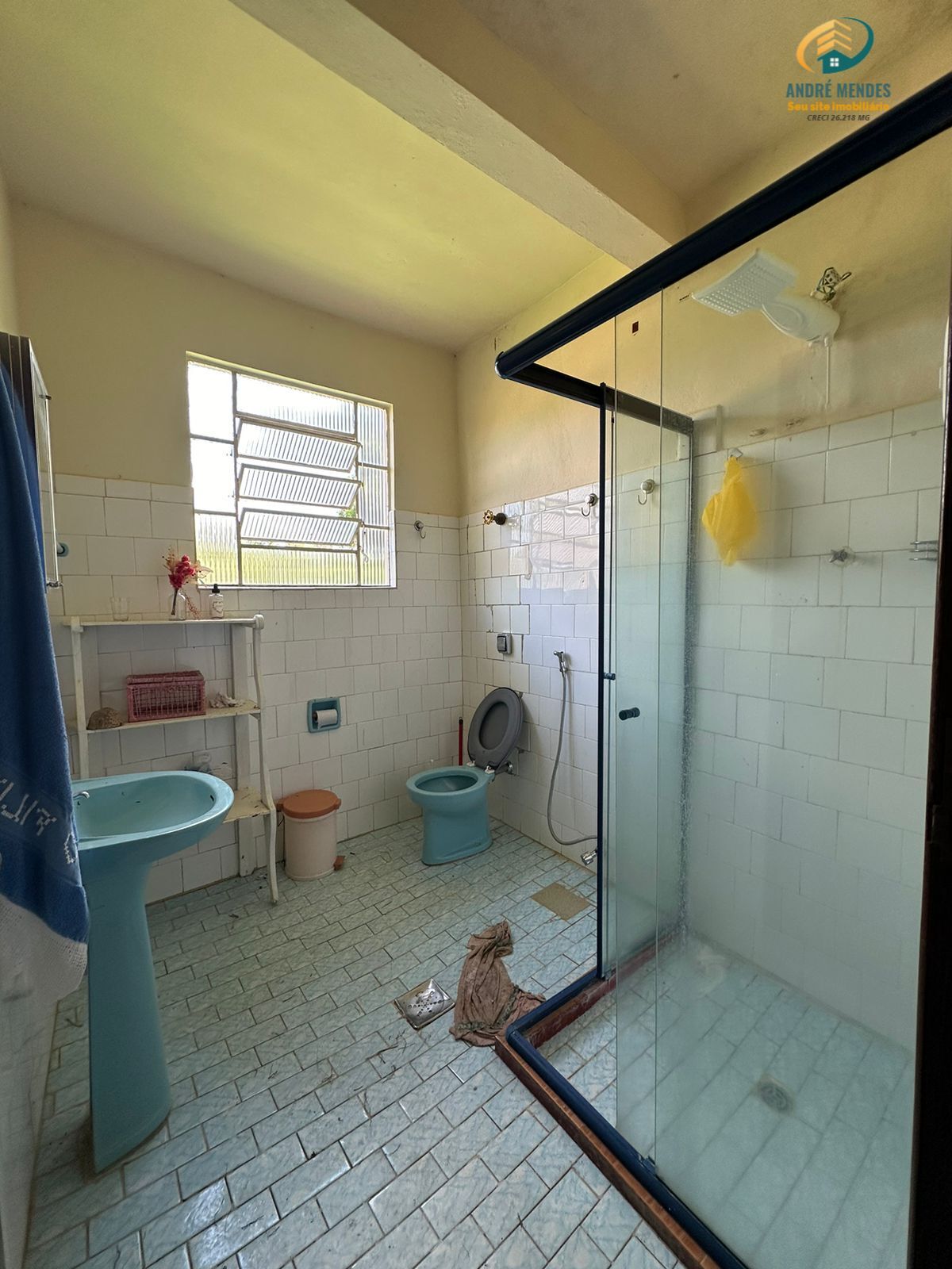 Fazenda à venda com 3 quartos, 1300m² - Foto 6