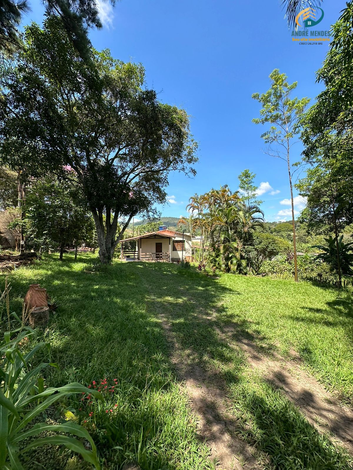 Fazenda à venda com 3 quartos, 1300m² - Foto 15