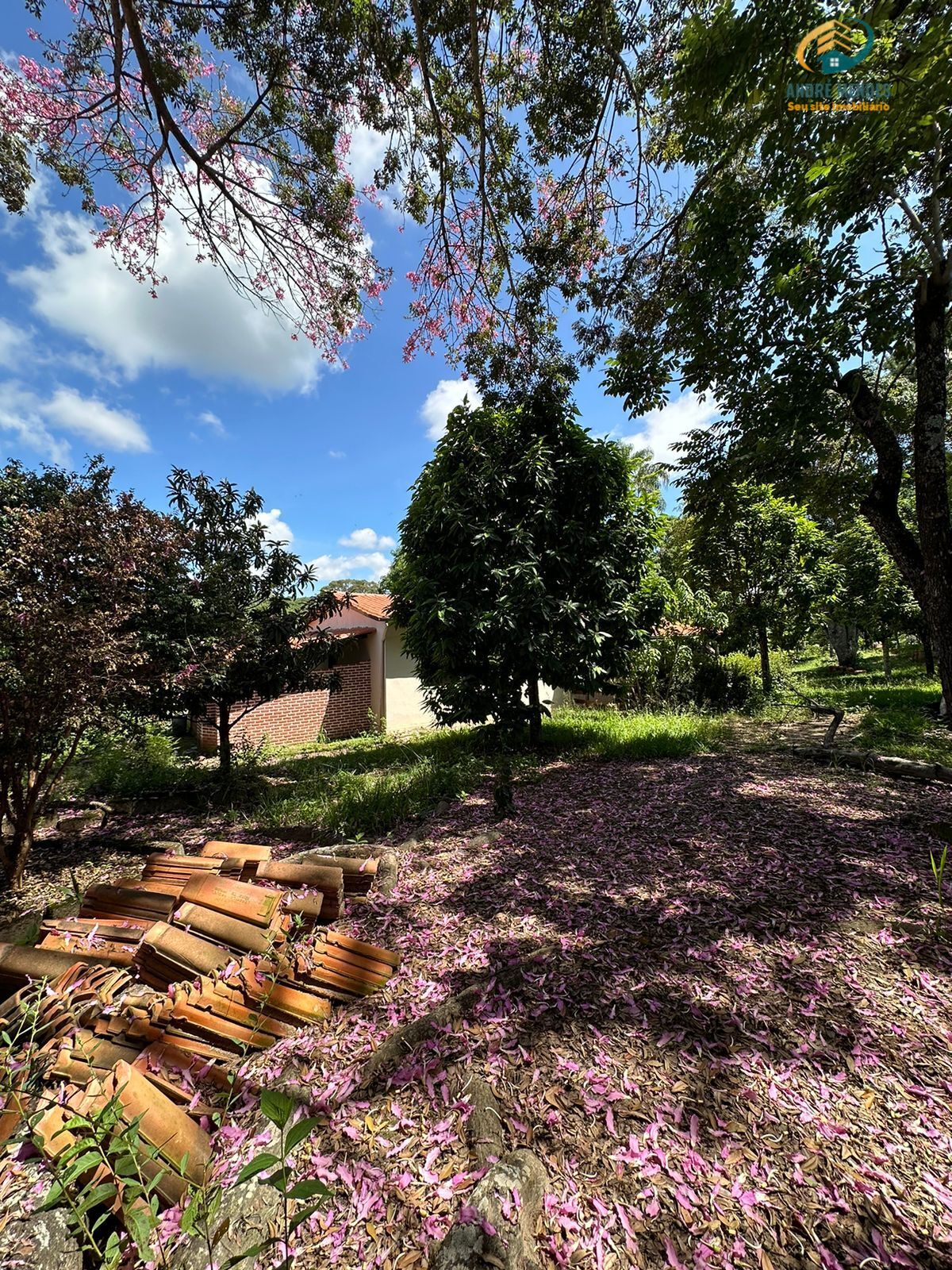 Fazenda à venda com 3 quartos, 1300m² - Foto 12