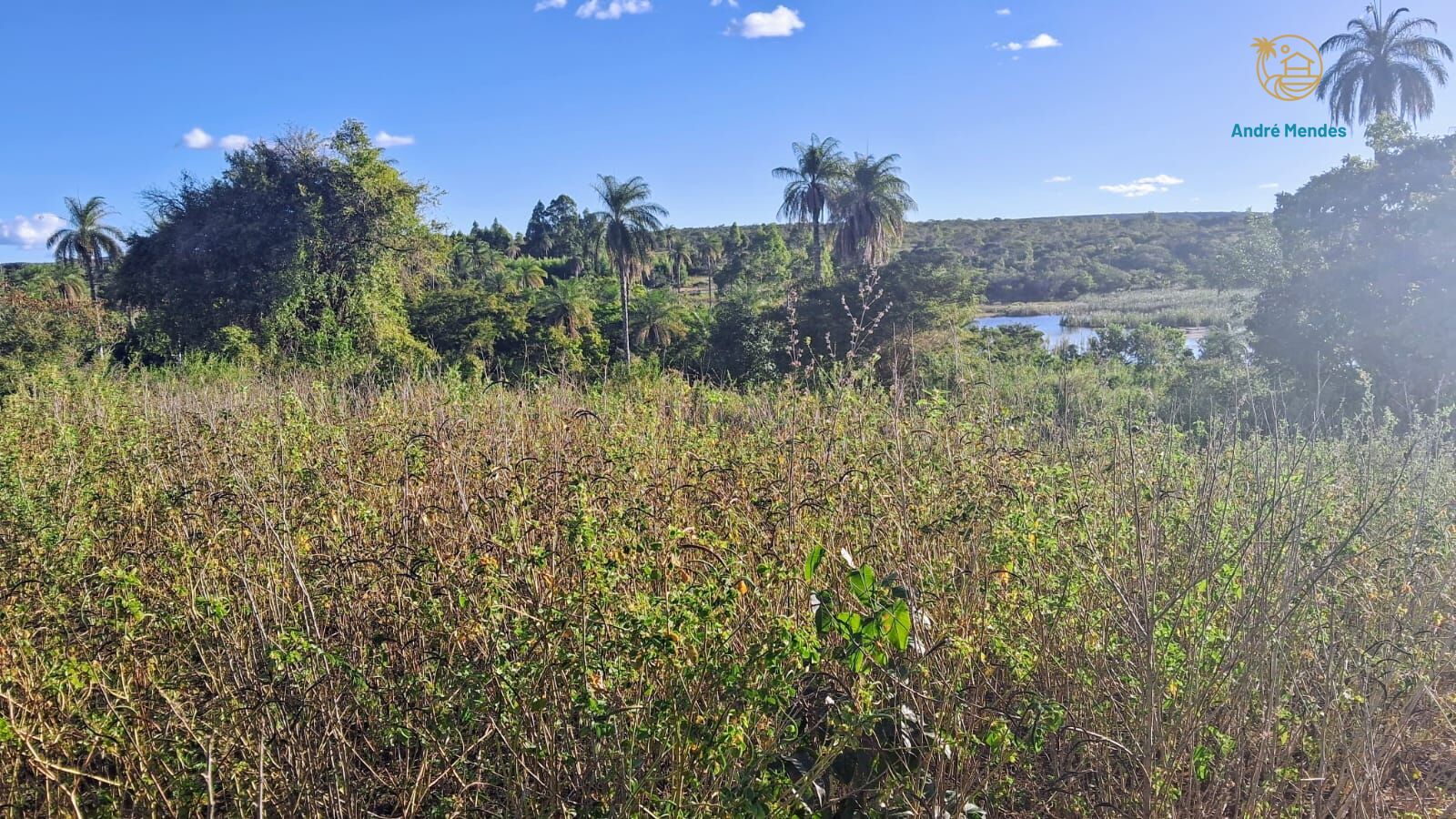 Fazenda, 50 hectares - Foto 9