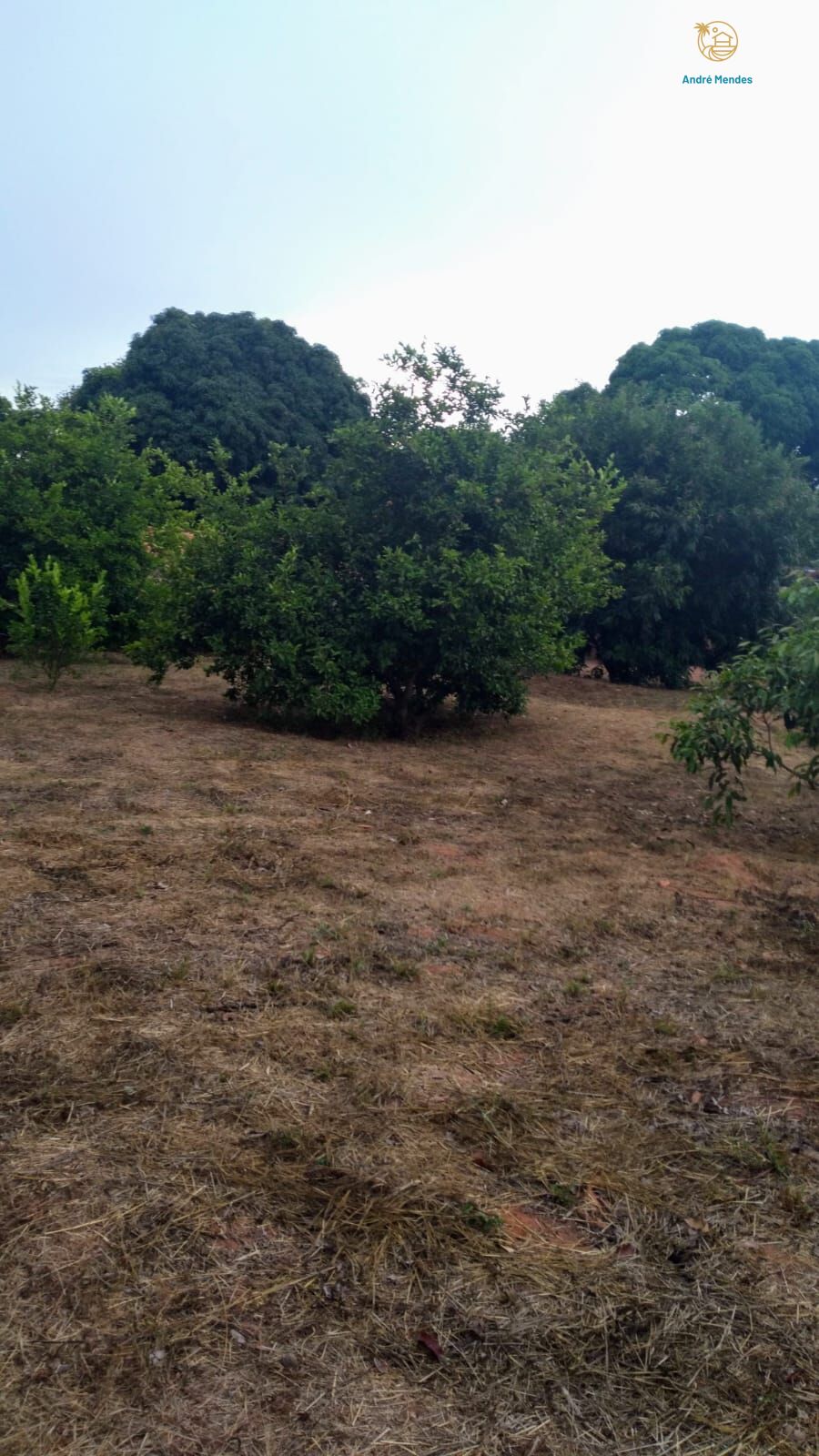 Fazenda, 50 hectares - Foto 24