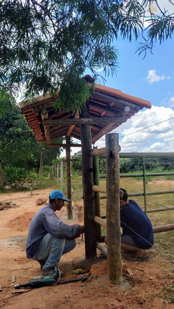 Fazenda, 50 hectares - Foto 11