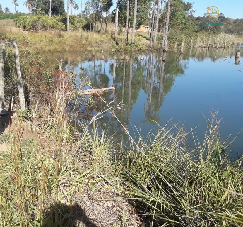 Fazenda, 50 hectares - Foto 8