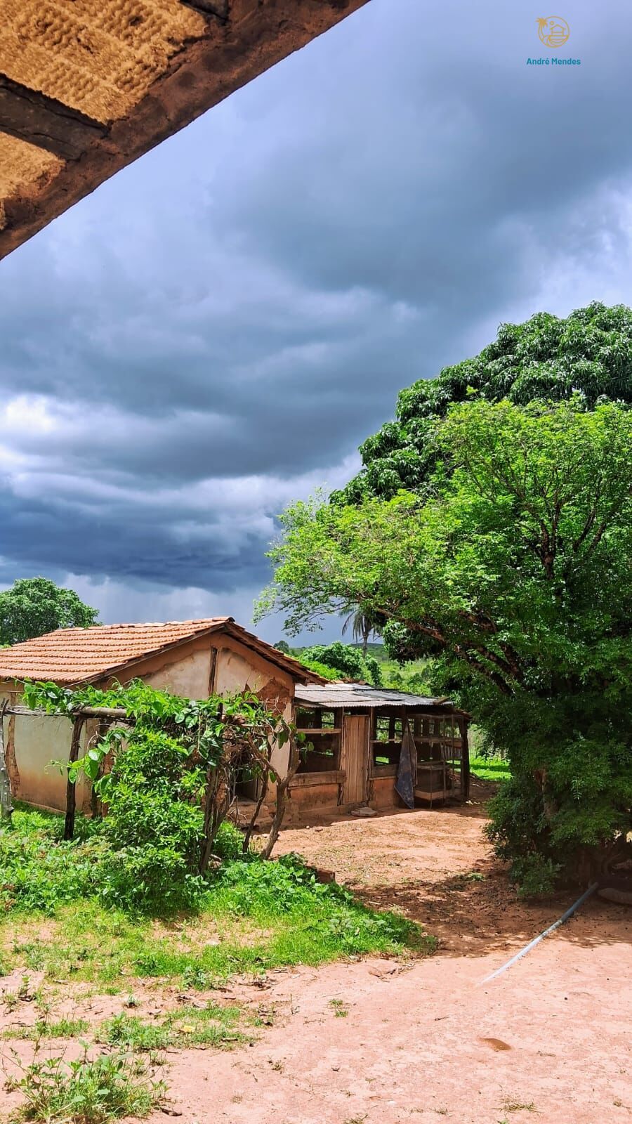 Fazenda, 50 hectares - Foto 20