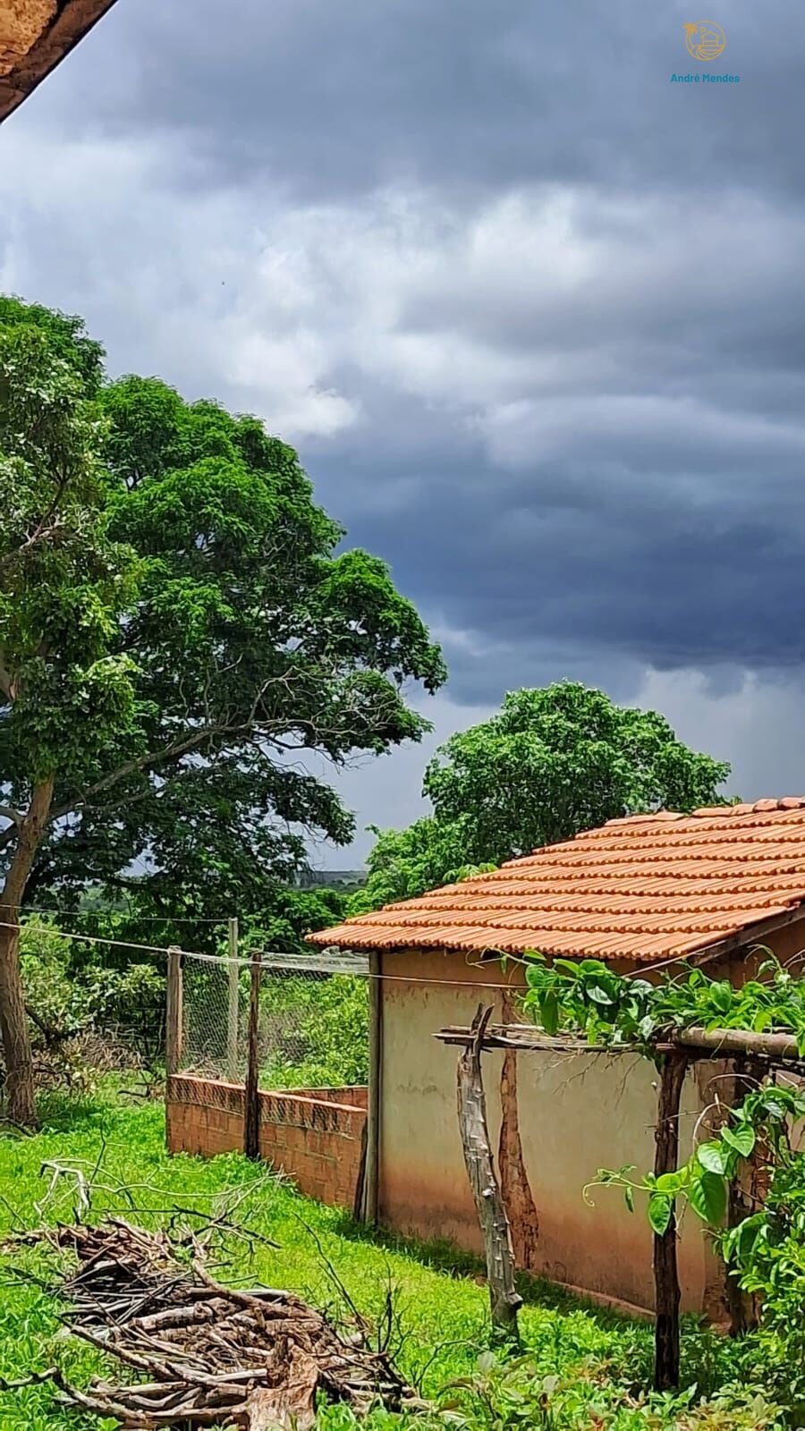 Fazenda, 50 hectares - Foto 13