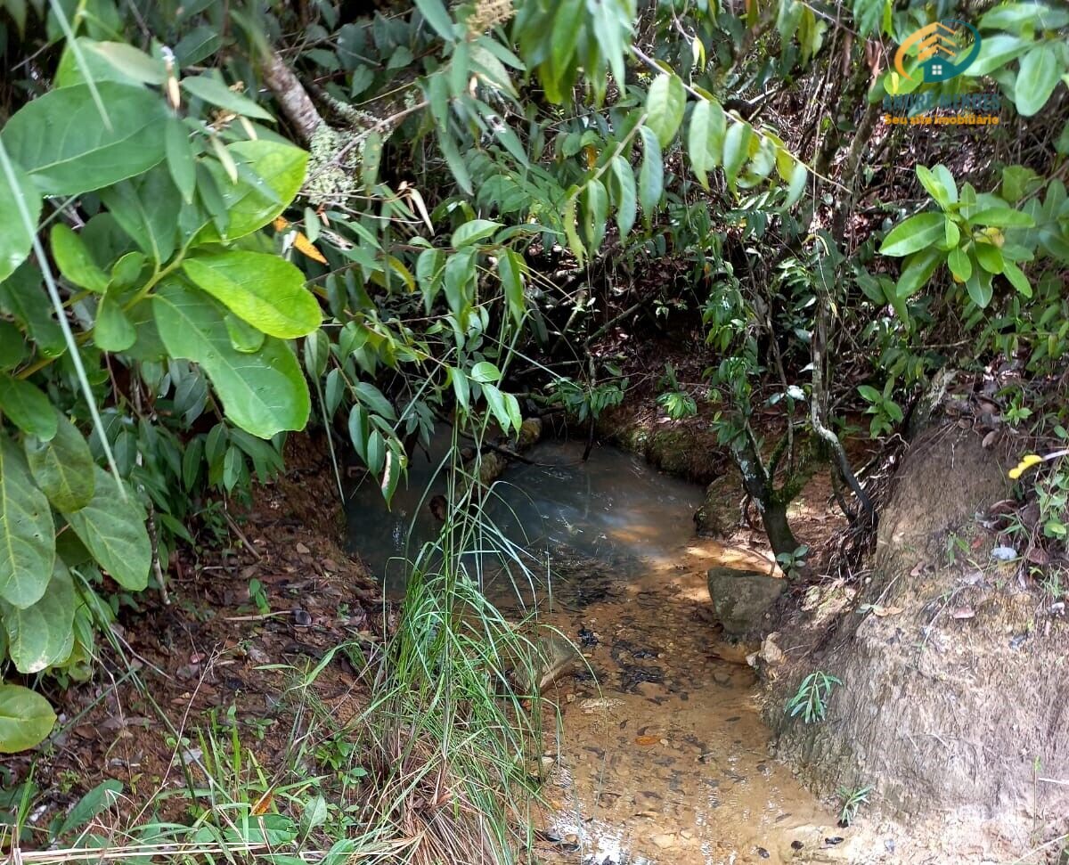 Fazenda-Sítio-Chácara, 40 hectares - Foto 2