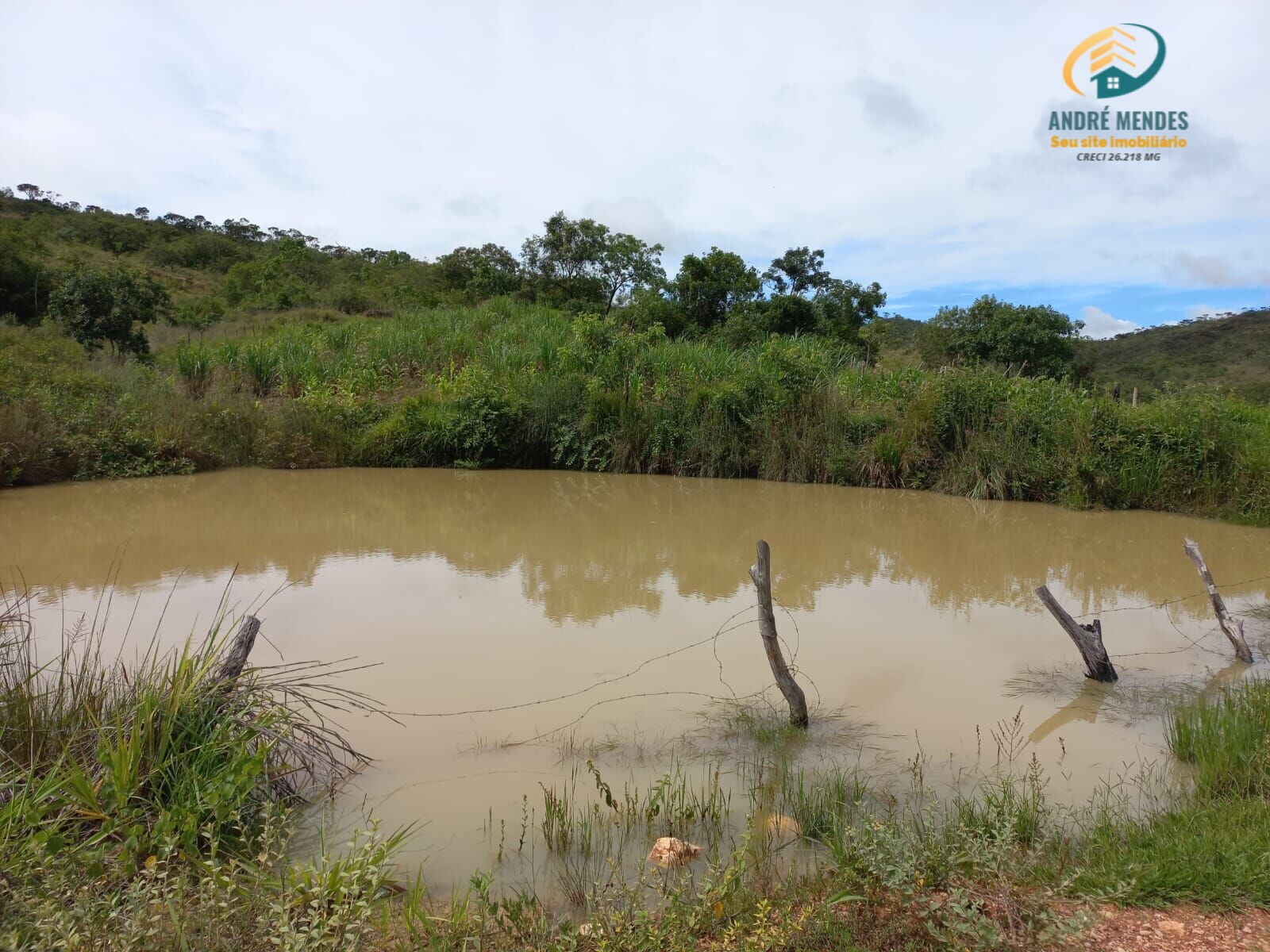 Fazenda-Sítio-Chácara, 40 hectares - Foto 3