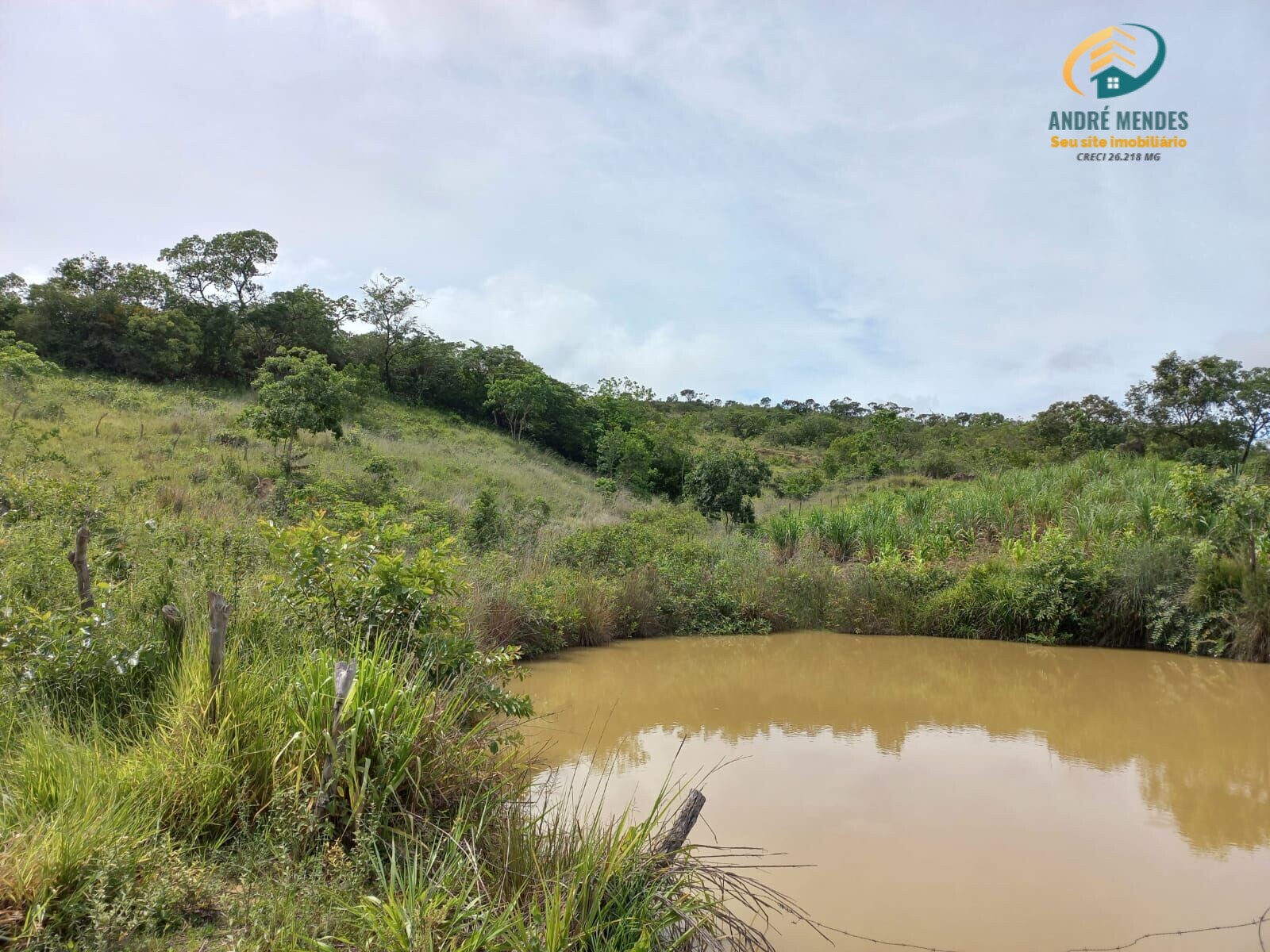 Fazenda à venda, 400000m² - Foto 5