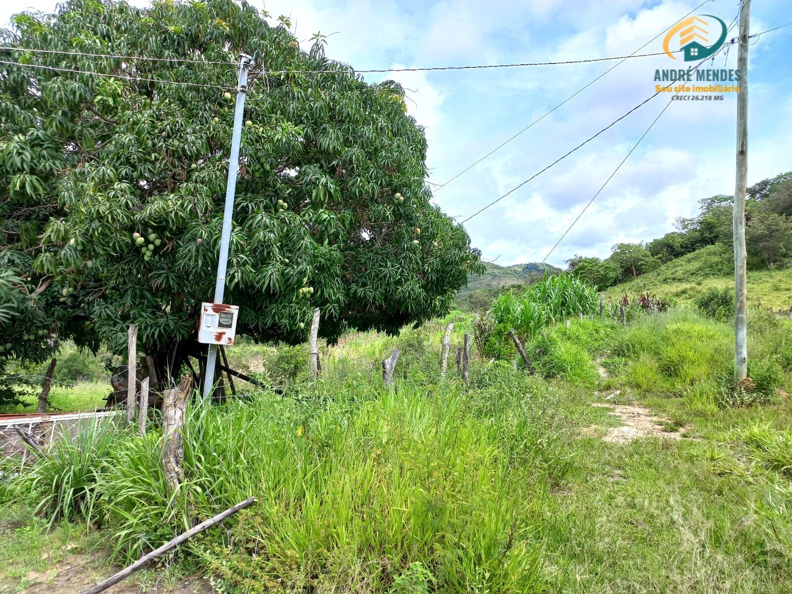 Fazenda à venda, 400000m² - Foto 6