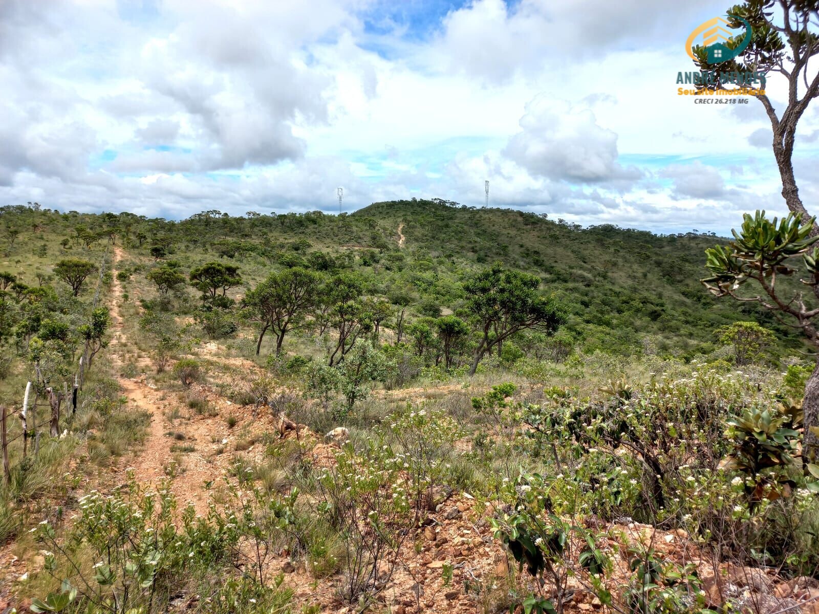 Fazenda à venda, 400000m² - Foto 8