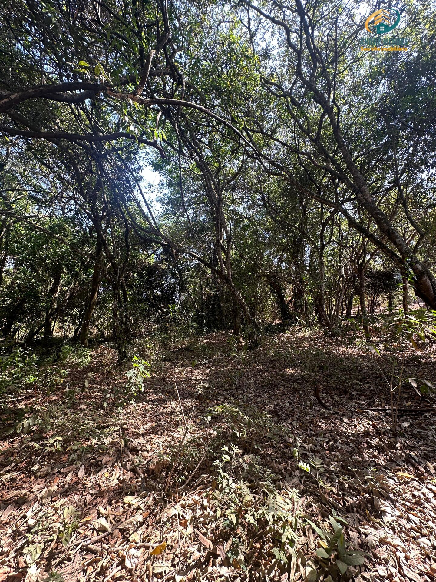 Fazenda à venda, 3900m² - Foto 17