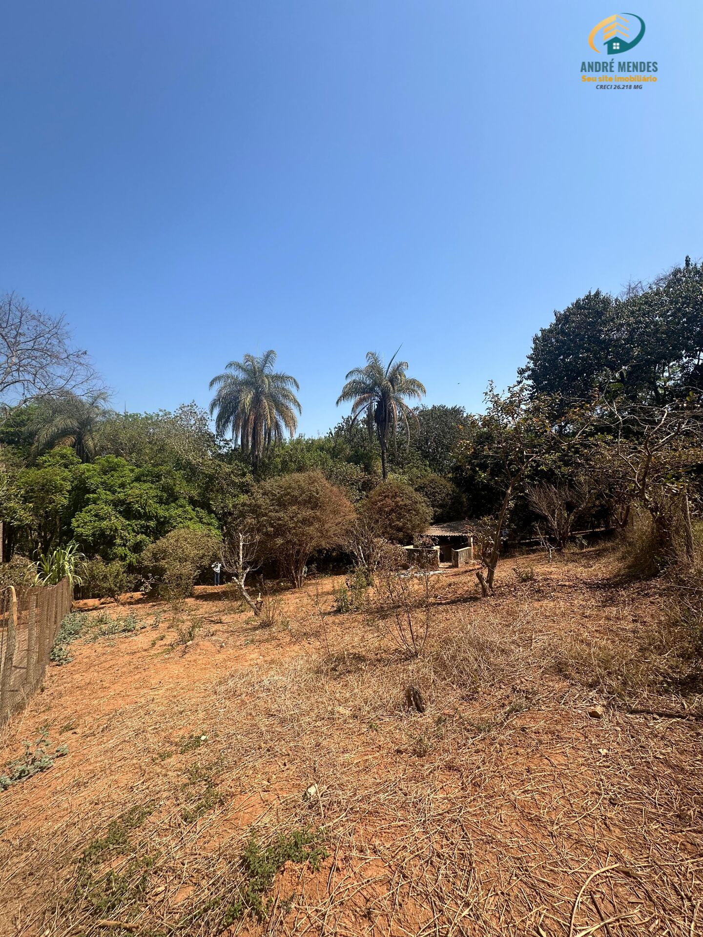 Fazenda à venda, 3900m² - Foto 13