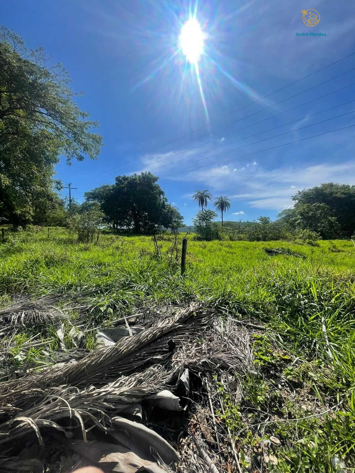 Terreno, 4000 m² - Foto 4