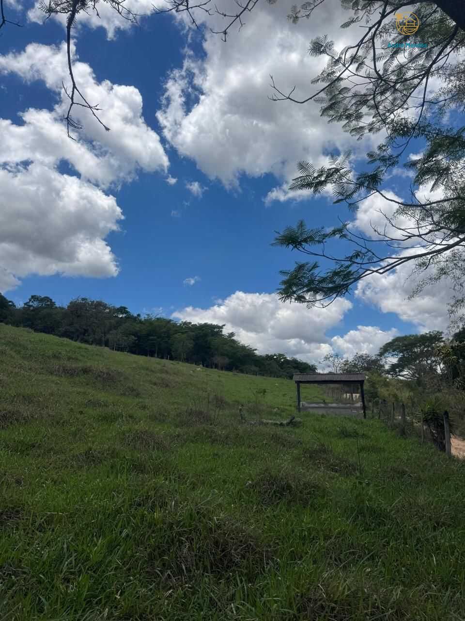 Terreno, 4000 m² - Foto 13