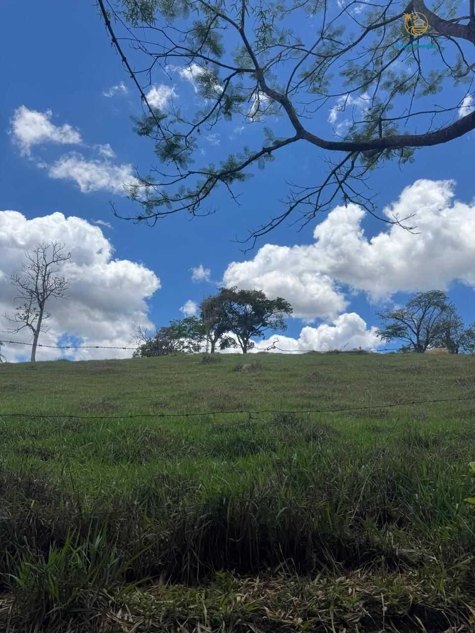 Terreno, 4000 m² - Foto 14