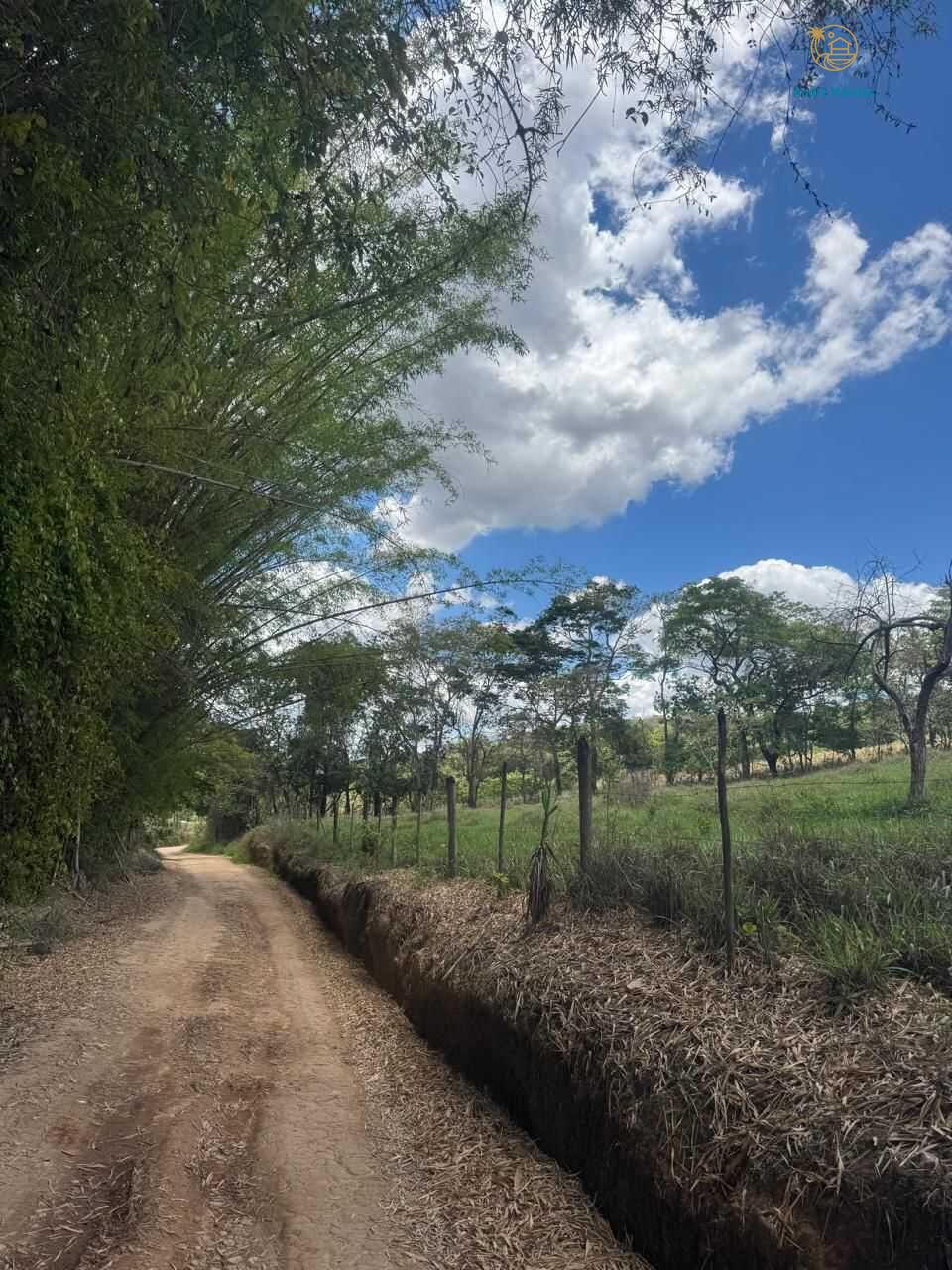 Terreno, 4000 m² - Foto 12