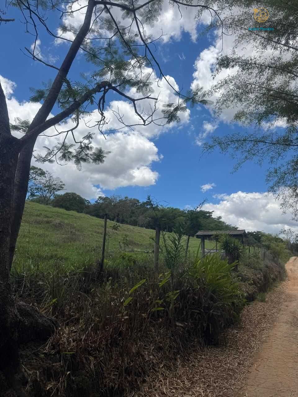 Terreno, 4000 m² - Foto 11