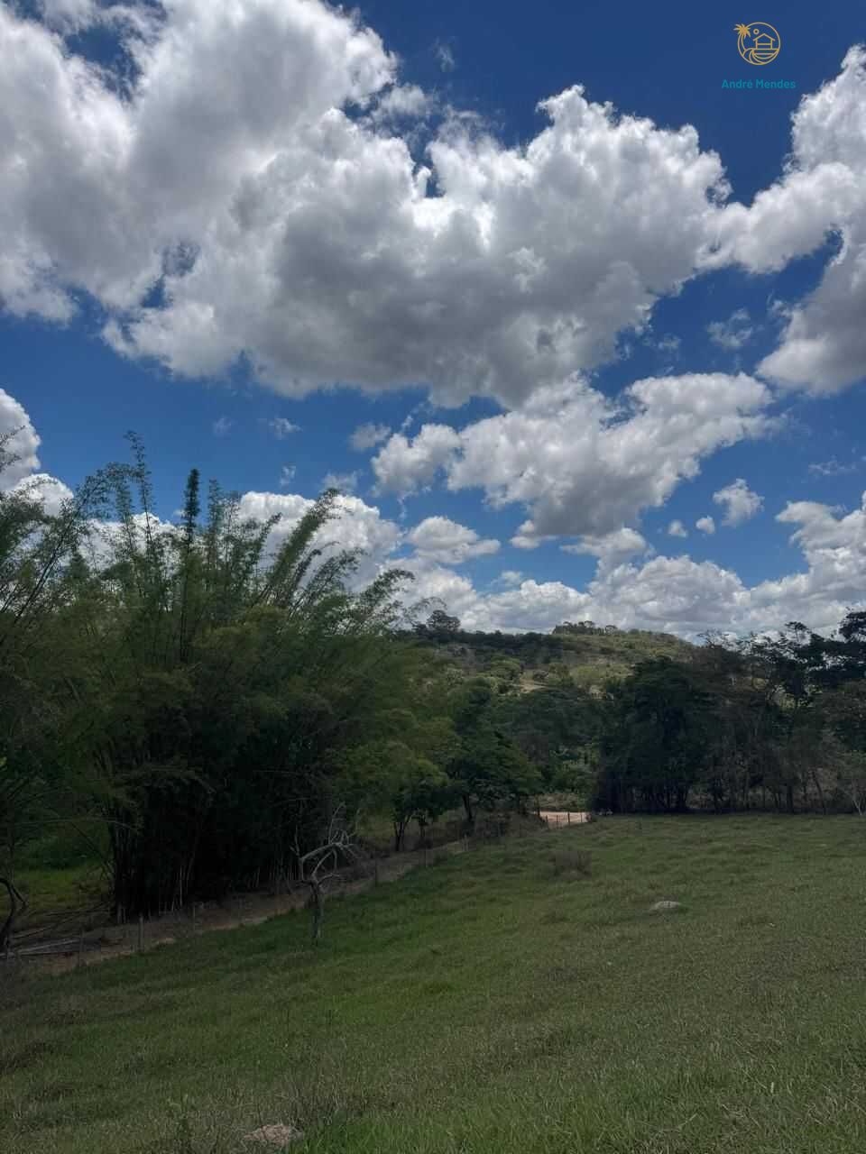 Terreno, 4000 m² - Foto 8