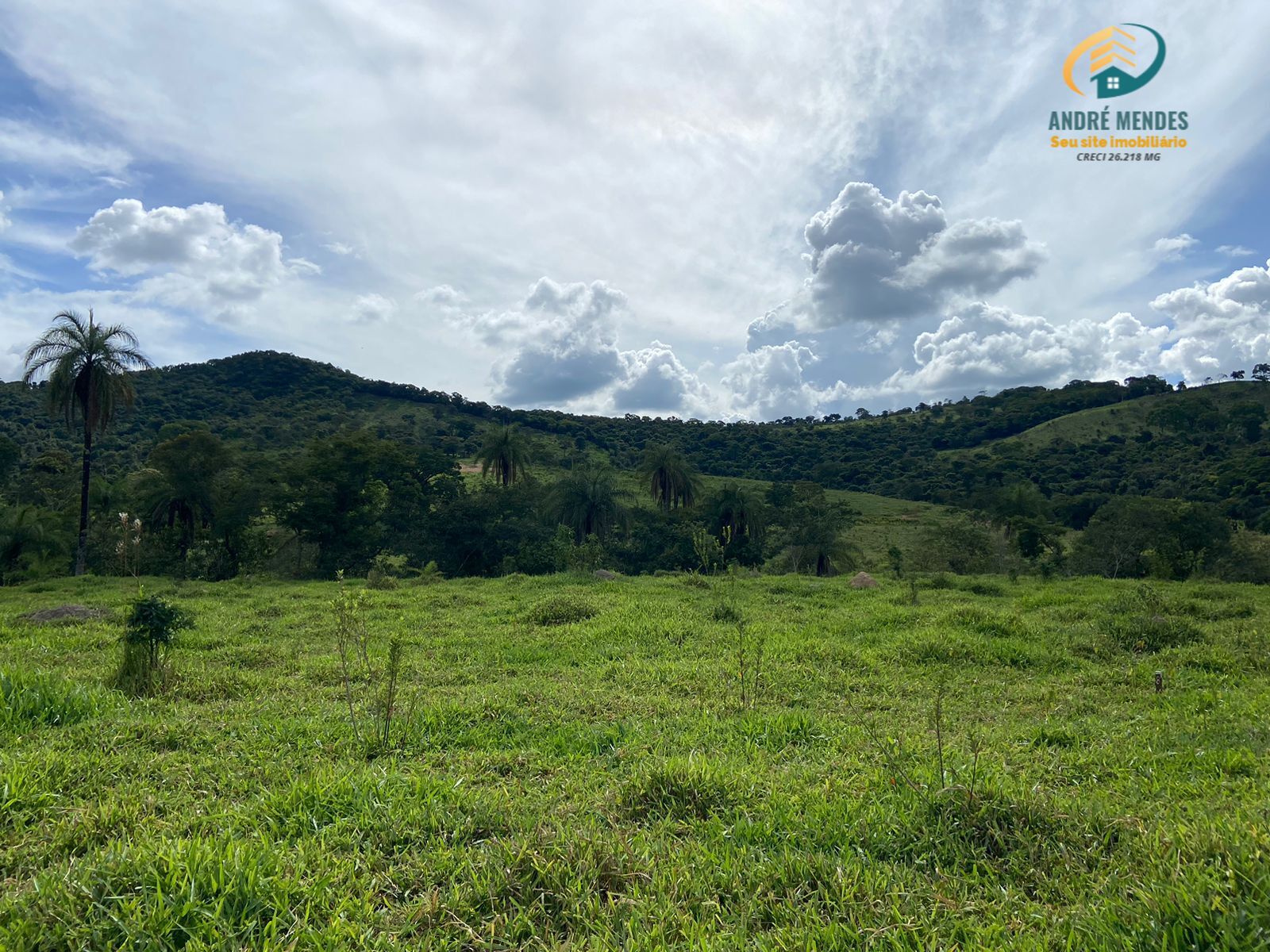 Terreno à venda, 20000m² - Foto 1